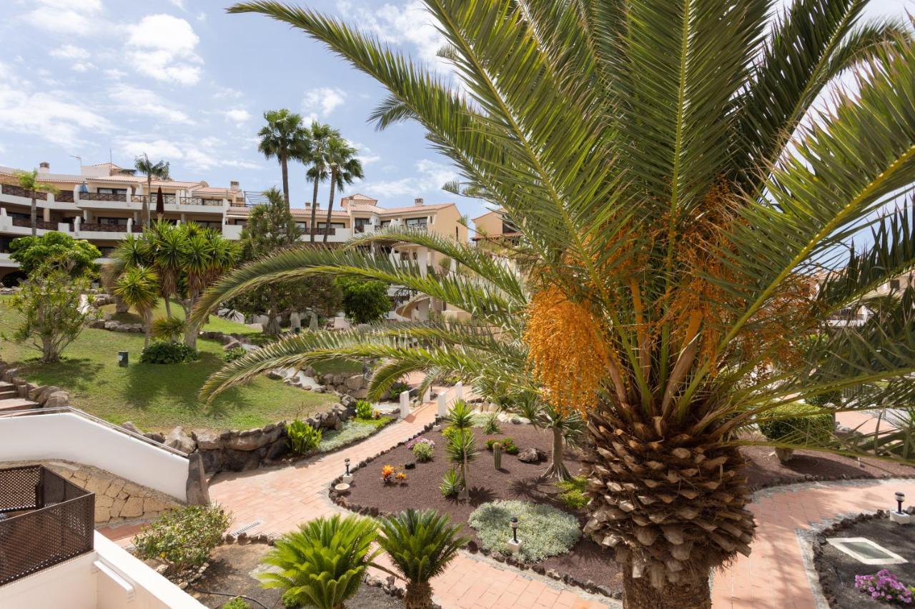 Oceanfront Tenerife South Abatros 254 سان ميغيل ذي أبونا المظهر الخارجي الصورة